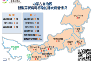 内蒙古自治区疫情政策解析，精准防控与民生保障的双重策略