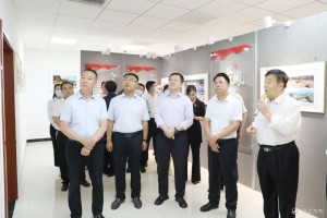陕西省丹凤中学官网，数字化校园建设的典范与窗口