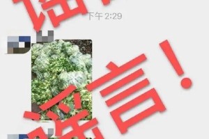 独家辟谣关于石家庄疫情，这些传言全是假的！官方回应来了