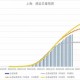上海新冠疫情分布图，实时数据与防控策略深度解析