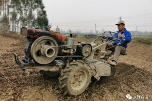 上海24日新冠疫情防控新动态，措施升级与市民应对指南