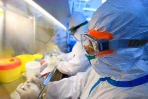 沈阳确诊病例死亡引发关注，疫情下的反思与应对