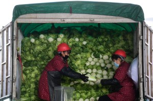 青海省疫情防控最新动态与南昌市应对措施对比分析