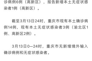 重庆市疫情最新动态，防控措施、数据解读与市民指南