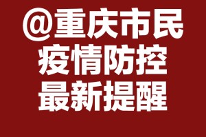 重庆市疫情防控官网，权威信息发布与便民服务指南