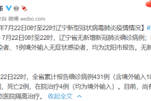 广东省疫情最新动态，沈阳输入病例引发防控新挑战