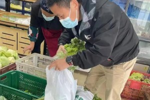 上海疫情封控时间线，几月份开始封控？全面回顾与影响分析
