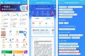 上海市疫情防控办官网，权威信息发布与便民服务指南