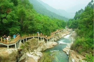 探秘长沙县龙华村，千年古韵与现代田园的完美交融