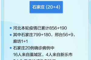 石家庄疫情人员行动轨迹，详细分析与防控启示