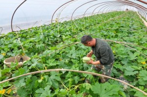 陕西省疫情最新动态与天津市未来一周天气趋势分析