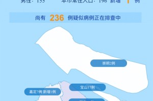 上海23号最新疫情，防控措施升级与市民应对指南
