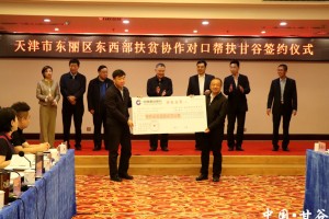 天津各区对口支援甘肃名单公布，携手共进，助力西部发展
