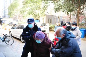 石家庄市疫情防控部办公室，筑牢城市健康防线的重要力量
