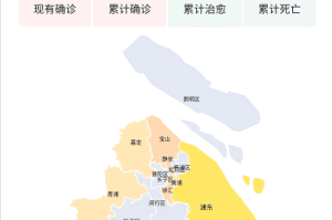 上海疫情全记录，从爆发到防控的关键时刻