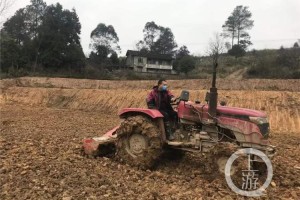 重庆防疫措施全解析，从战时状态到精准防控的智慧之路