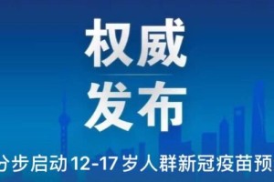 上海市疫情防控工作领导小组，高效应对疫情挑战的典范