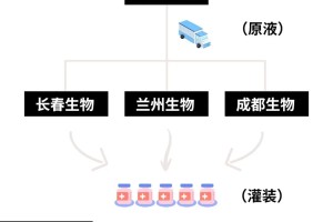 长春生物疫苗属于哪种疫苗？全面解析其技术路线与特点