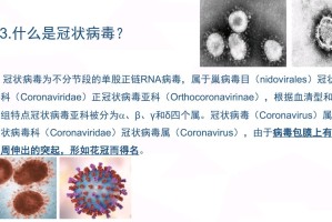 上海市新型冠状病毒肺炎疫情防控，策略、成效与未来展望