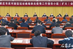 石家庄市疫情处理领导，高效决策与科学防控的典范
