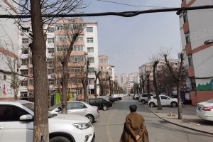 太原长风小区东区，城市中的宜居绿洲