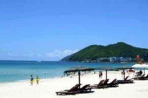 上海与三亚，疫情下的双城记与旅游业的韧性复苏