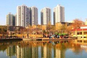 石家庄与沈阳，两座城市的疫情应对与韧性展现