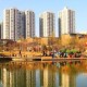 石家庄与沈阳，两座城市的疫情应对与韧性展现