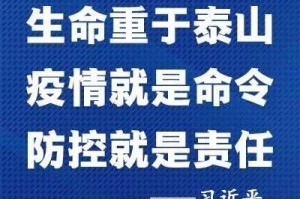 上海疫情防控指挥部，高效应对疫情挑战的坚强堡垒