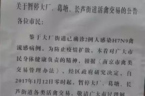 沈阳南京确诊病例激增，防控措施与市民应对指南