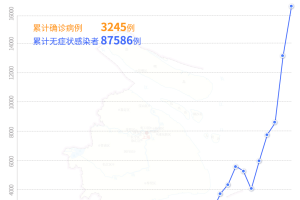 上海疫情防控办网站，市民获取权威信息的首选平台