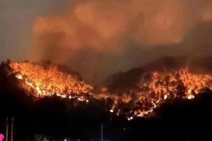 重庆疫情官网，权威信息发布与便民服务指南