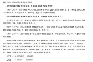 银川疫情最新政策解读，防控措施、出行要求与市民指南