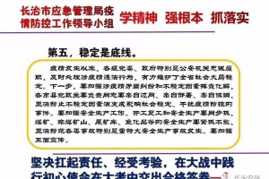 上海疫情防控领导小组办公室，高效统筹与科学防控的典范
