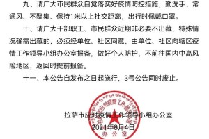 上海市疫情发布官网最新动态与拉萨疫情最新情况解析