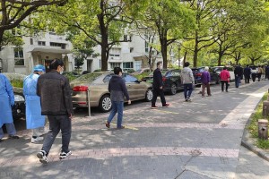 上海疫情防控指挥部电话号码全指南，权威联系方式与使用建议
