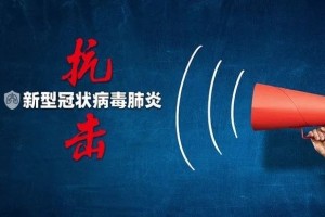 上海市疫情控制，精准施策与全民协作的成功典范