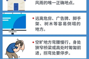 上海防台全攻略，台风季必备的安全防护措施