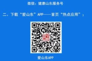 山东省健康码（绿码）申请全攻略，步骤详解与常见问题解答