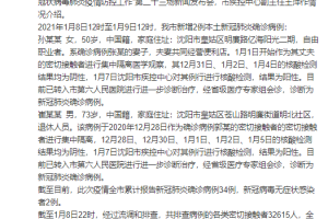 沈阳新增2例本土确诊病例，最新疫情动态与防控措施解析