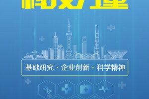 上海疫情防控组，高效协作与科学防控的典范