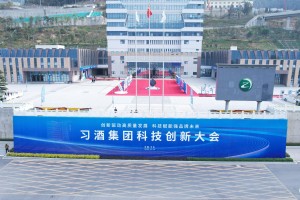天津市院士，科技创新的领军者与城市发展的推动者