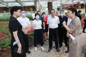 长春大学疫情最新动态，防控措施、学生生活与未来展望