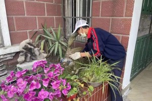 上海某区区长沈某某，从基层公务员到城市治理者的成长之路