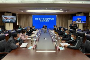 合肥疫情最新动态与四川省防控措施对比分析