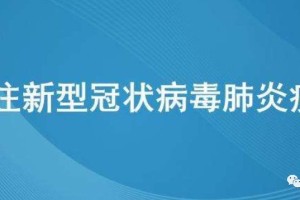 上海疫情防控应急指挥部，高效应对疫情挑战的坚强堡垒