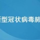 上海疫情防控应急指挥部，高效应对疫情挑战的坚强堡垒
