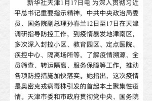 天津疫情封城时间表，关键节点与防控措施全解析