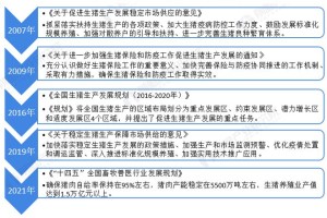 2023浙江省最新疫情政策全解析，隔离、核酸与健康码要求一览