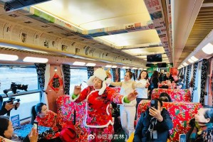 长春到哈尔滨，火车之旅中的东北风情与文化交融